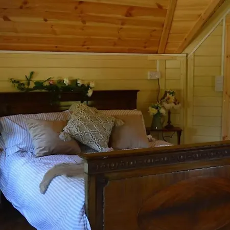 مكان تخييم Apple Blossom Glamping كيلكيني