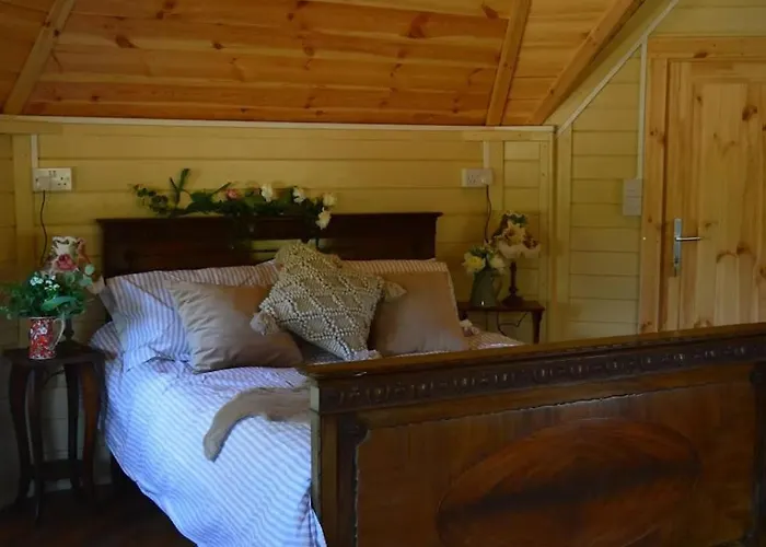 Campingplatz Apple Blossom Glamping Kilkenny